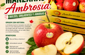 Manzanas Ambrosia: el dulce placer de la naturaleza